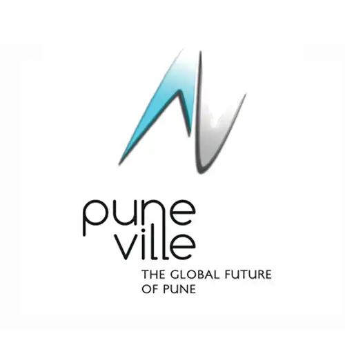 Punaville-Group-Limited